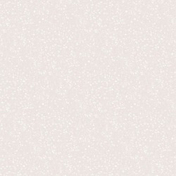 Столешница Form and Style Баскунчак FS040 S1, 3000 x 1200 x 38 мм