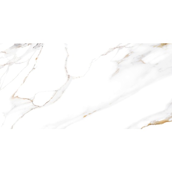 TWU09DBL004 плитка облицовочная Alma Ceramica Dublin 249*500 (12 шт в уп/80,676 м в пал) #7