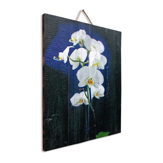 Картина "Белые орхидеи на черном фоне" 50х70 см #2 Картина "Белые орхидеи на черном фоне" 50х70 см #2