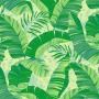 Обои флизелиновые Loymina Lemonade Tropics LM9, 005/1, 10х1 м