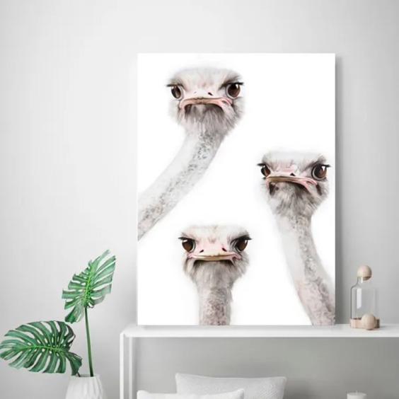 Интерьерная картина "Страусы" на холсте, большая, размер 80х50 см #1 Интерьерная картина "Страусы" на холсте, большая, размер 80х50 см #1