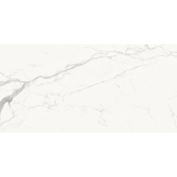 Delacora Porfido Carrara 60120PFC15M Керамогранит матовый 600*1200*9,5 (2 шт в уп/43,2 м в пал) #14