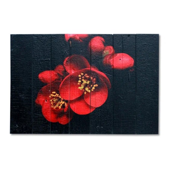 Картина "Красные орхидеи на черном фоне" 60х40 см #1 Картина "Красные орхидеи на черном фоне" 60х40 см #1