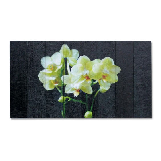 Картина "Нежные орхидеи на черном фоне" 70х50 см #1