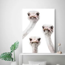 Интерьерная картина "Страусы" на холсте, большая, размер 80х50 см