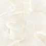 LCM 6060TLN01P Talisman Onyx Crema Керамогранит полированный 600*600 (4 шт в уп/57,60 м в пал)
