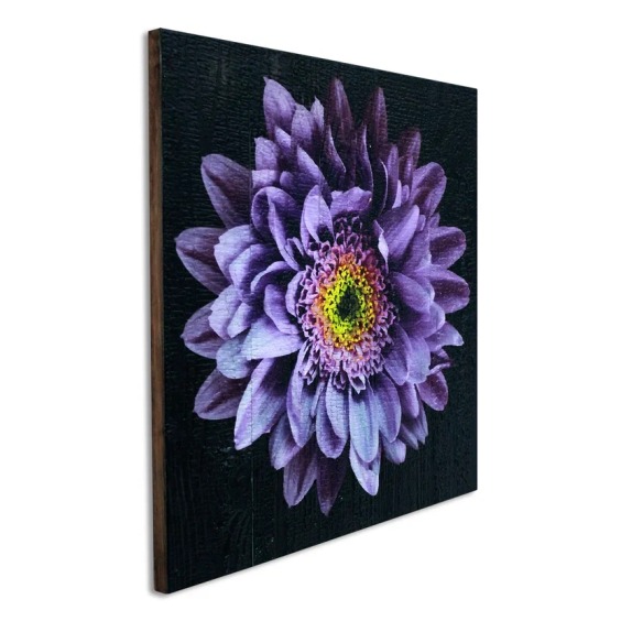 Картина "Сиреневая хризантема на черном фоне" 40х40 см #2