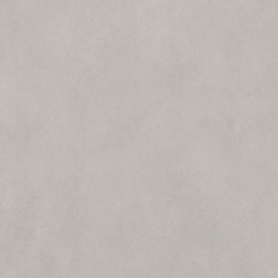 Delacora Life Cement Gray D60237M Керамогранит матовый 600*600 (4 шт в уп/43,2 м в пал) #6 Delacora Life Cement Gray D60237M Керамогранит матовый 600*600 (4 шт в уп/43,2 м в пал) #6