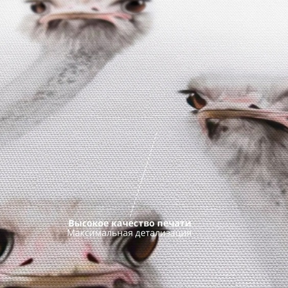 Интерьерная картина "Страусы" на холсте, большая, размер 60х40 см #6 Интерьерная картина "Страусы" на холсте, большая, размер 60х40 см #6