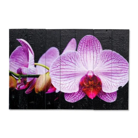 Картина "Бело-сиреневая орхидея на черном фоне" 60х40 см #1
