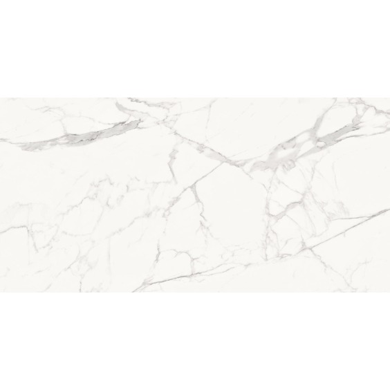Delacora Porfido Carrara 60120PFC15M Керамогранит матовый 600*1200*9,5 (2 шт в уп/43,2 м в пал) #9