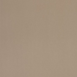 Кромка MaxiColor Медовый туман галакси арт. 3008, 22 x 0,8 мм, 1 метр