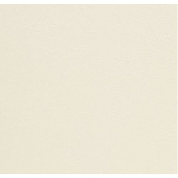 Обои виниловые на флизелиновой основе Andrea Rossi Spectrum Plus 54355-1, 1,06*10 м