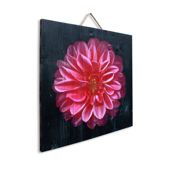 Картина "Розовая хризантема на черном фоне" 40х40 см #2