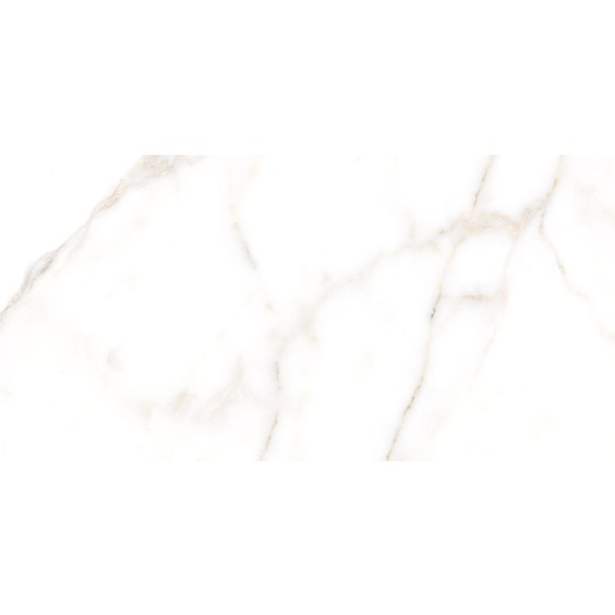 TWU09GRG007 плитка облицовочная Alma Ceramica Grigio 249*500 (12 шт в уп/80,676 м в пал) #12
