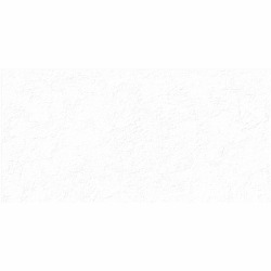 TWU2550MLN10 плитка облицовочная рельефная Alma Ceramica Miloni 249*500 (9 шт в уп/63,897 м в пал)