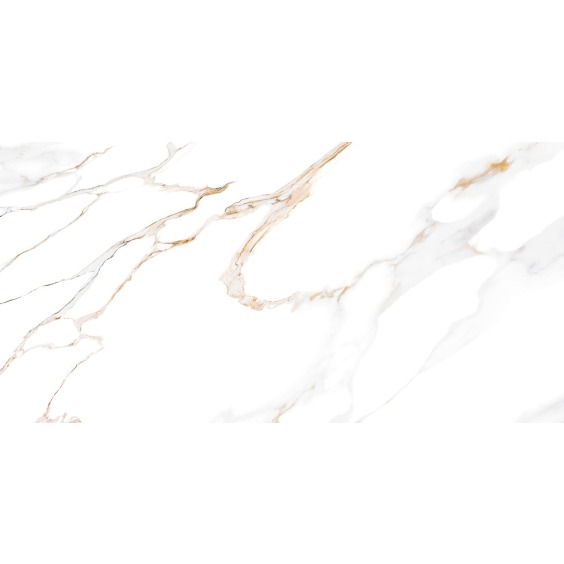 TWU09DBL004 плитка облицовочная Alma Ceramica Dublin 249*500 (12 шт в уп/80,676 м в пал) #14