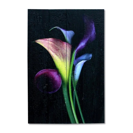 Картина "Фиолетовые и белые каллы на черном фоне" 40х60 см #1