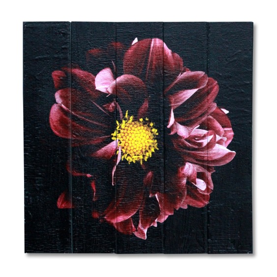 Картина "Красно-коричневый пион на черном фоне" 40х40 см #1
