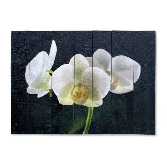 Картина "Три белые орхидеи на черном фоне" 70х50 см #1