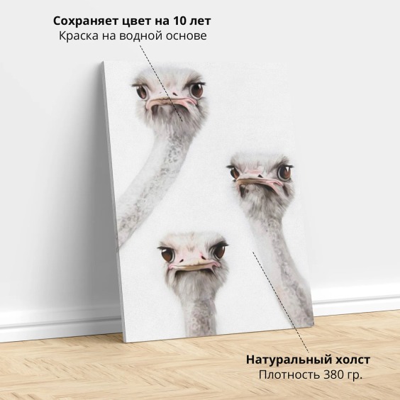 Интерьерная картина "Страусы" на холсте, большая, размер 45х30 см #5 Интерьерная картина "Страусы" на холсте, большая, размер 45х30 см #5