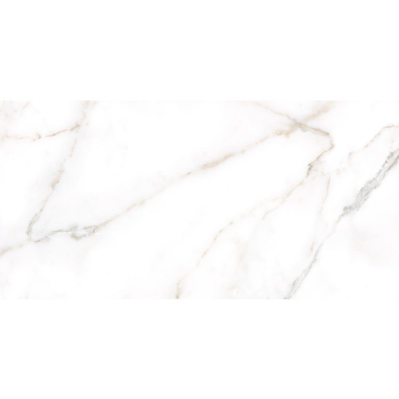 TWU09GRG007 плитка облицовочная Alma Ceramica Grigio 249*500 (12 шт в уп/80,676 м в пал) #17