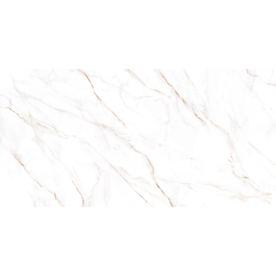 GFU60120NCL04R керамогранит матовый Alma Ceramica Neo Calacatta 600*1200 (2 шт в уп/46,08 м в пал) #4