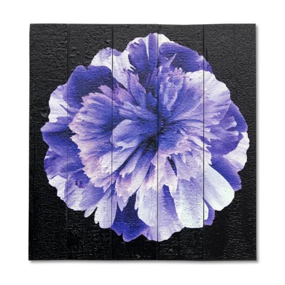 Картина "Голубой цветок на черном фоне" 40х40 см #1