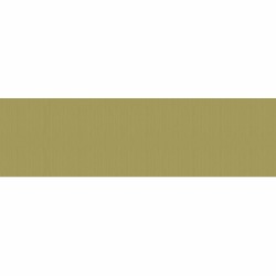 Кромка ABS AGT Пикассо золотой глянец арт. 395, 22 x 1 мм, 1 метр