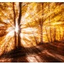 Панно Loymina Illusion vol. I Fusion DF, 002