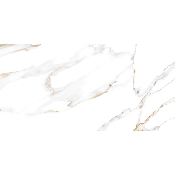 TWU09DBL004 плитка облицовочная Alma Ceramica Dublin 249*500 (12 шт в уп/80,676 м в пал) #10