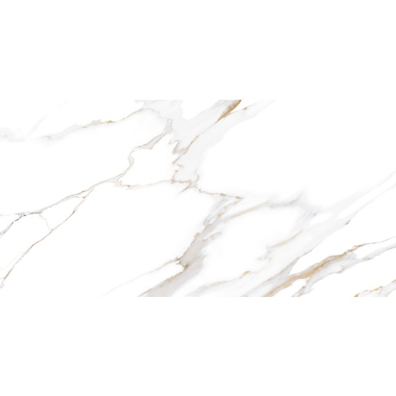 TWU09DBL004 плитка облицовочная Alma Ceramica Dublin 249*500 (12 шт в уп/80,676 м в пал) #16