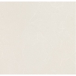 Обои виниловые на флизелиновой основе Andrea Rossi Spectrum Plus 54351-16, 1,06*10 м