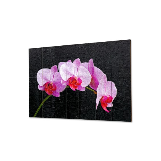Картина "Нежно-фиолетовые орхидеи на черном фоне" 70х50 см #2 Картина "Нежно-фиолетовые орхидеи на черном фоне" 70х50 см #2