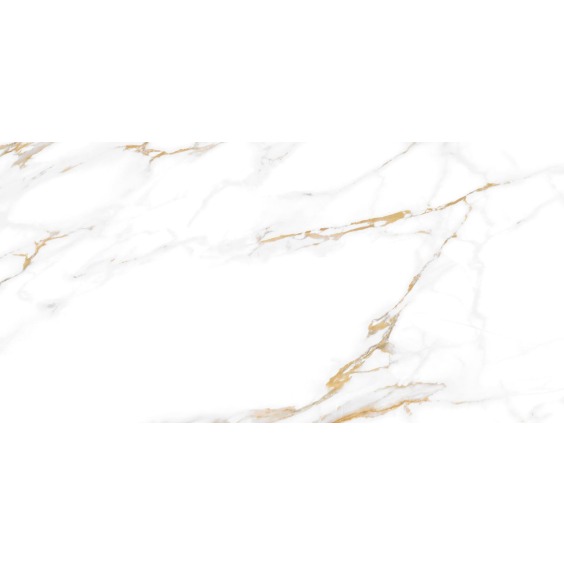 TWU09DBL004 плитка облицовочная Alma Ceramica Dublin 249*500 (12 шт в уп/80,676 м в пал) #18