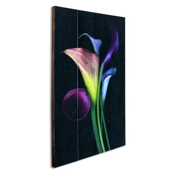Картина "Фиолетовые и белые каллы на черном фоне" 40х60 см #2