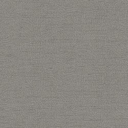 Обои виниловые на флизелиновой основе Alessandro Allori Breeze RDT2210-5, 1,06*10 м
