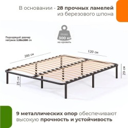 Полутораспальная кровать металлическая без спинки София, 120х200 см, Черный, ДомаКлёво