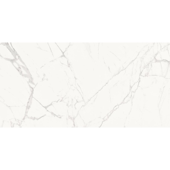 Delacora Porfido Carrara 60120PFC15M Керамогранит матовый 600*1200*9,5 (2 шт в уп/43,2 м в пал) #10