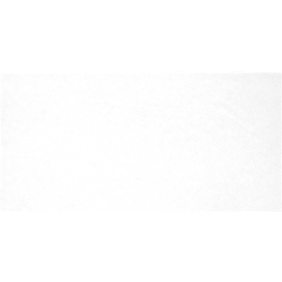 TWU09MNR020 плитка облицовочная Alma Ceramica Monocolor 249*500 (12 шт в уп/80,676 м в пал) #4