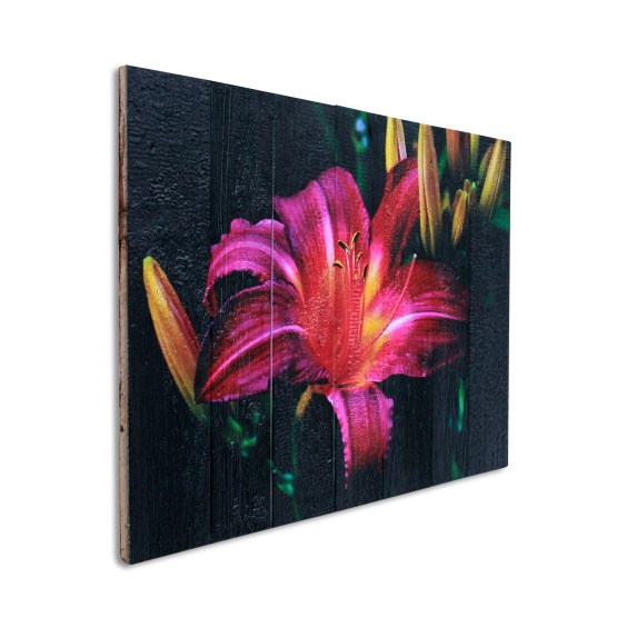 Картина "Яркий ирис на черном фоне" 70х50 см #2