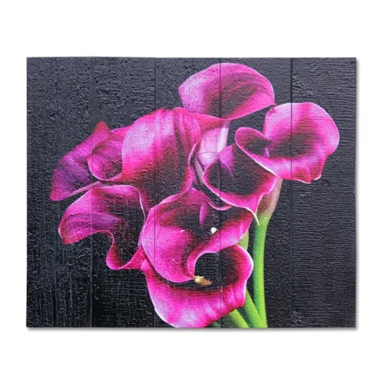 Картина "Фиолетовые каллы на черном фоне" 60х40 см #1