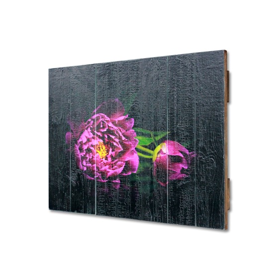 Картина "Два розовых пиона на черном фоне" 70х50 см #2