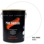 Краска для сайдинга ProSaiding 4,5л, RAL- 9003