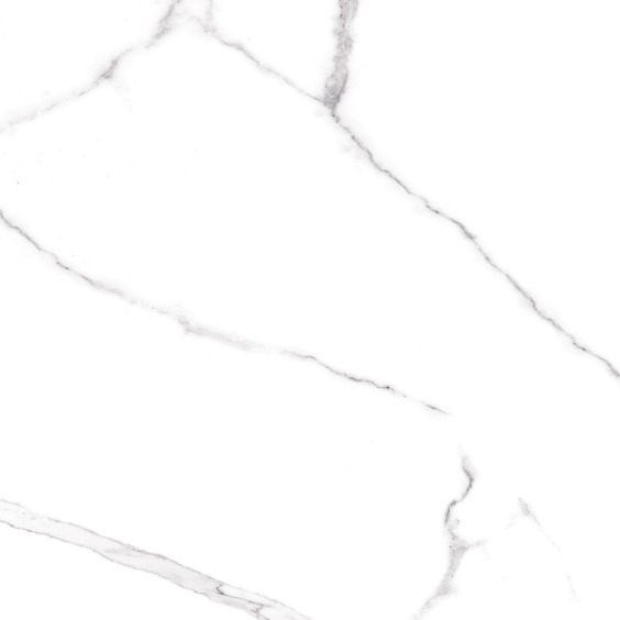 GFU04CRR00R керамогранит матовый Alma Ceramica Carrara 600*600 (4 шт в уп/43,2 м в пал) #6