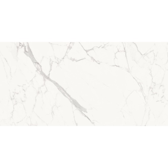 Delacora Porfido Carrara 60120PFC15M Керамогранит матовый 600*1200*9,5 (2 шт в уп/43,2 м в пал) #12