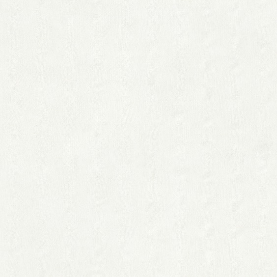 Обои виниловые на флизелиновой основе Alessandro Allori Argiano 15023-1, 1,06*10 м #1