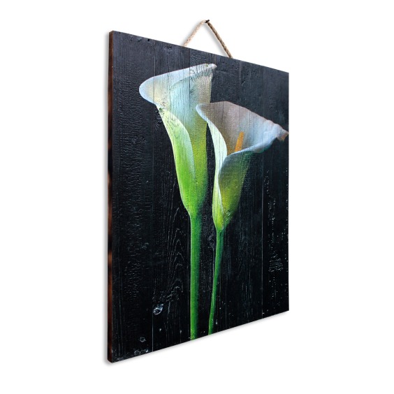 Картина "Два белых калла на черном фоне" 50х70 см #2