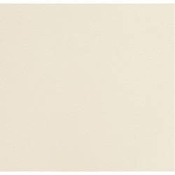 Обои виниловые на флизелиновой основе Andrea Rossi Spectrum Plus 54355-2, 1,06*10 м