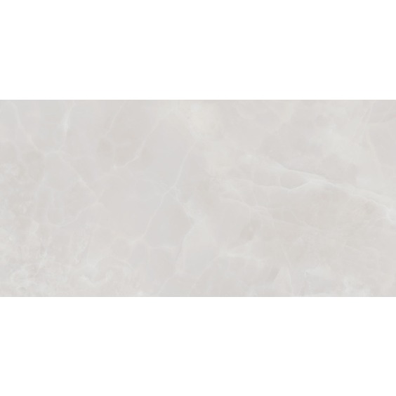 TWU09RVL007 плитка облицовочная Alma Ceramica Rivoli 249*500 (12 шт в уп/80,676 м в пал) #8